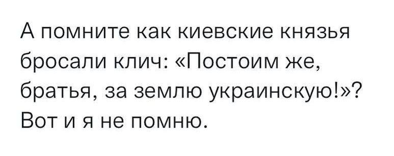 А помните как киевские князья бросали кпич Постоим же братья за землю украинскую Вот и я не помню