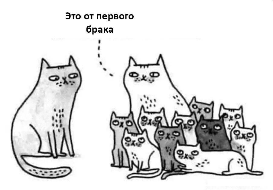 это от первого брака