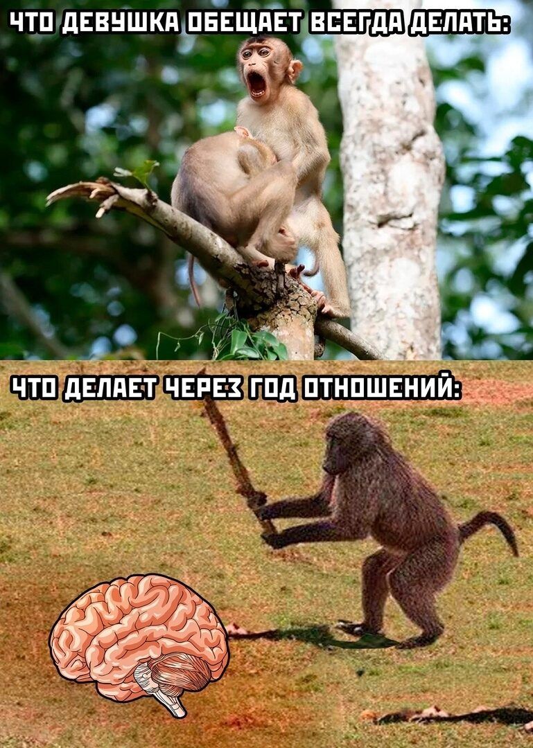 чтп дввншкпРБЕЩАЁп О ЧтЪдіііпвтчЕрізд жд _