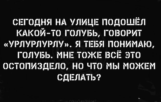 спггодня нд улицпз подошёл кдкой то гплувь творит упчпурлурлу я ТЕБЯ ппнимдю гплувь МНЕ ТОЖЕ всё это эстппизшало но чта мы можем дпглдты
