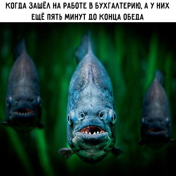 КПГПА ЗАШЕА НА РАБОТЕ Б БУХГААТЕРИЮ А НИХ ЕЩЁ ПЯТЬ МИНУТ ПП КОНЦА ОБЕПА