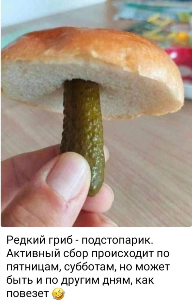 Редкий гриб подстопарик Активный сбор происходит по пятницам субботам но может быть и по другим дням как повезет