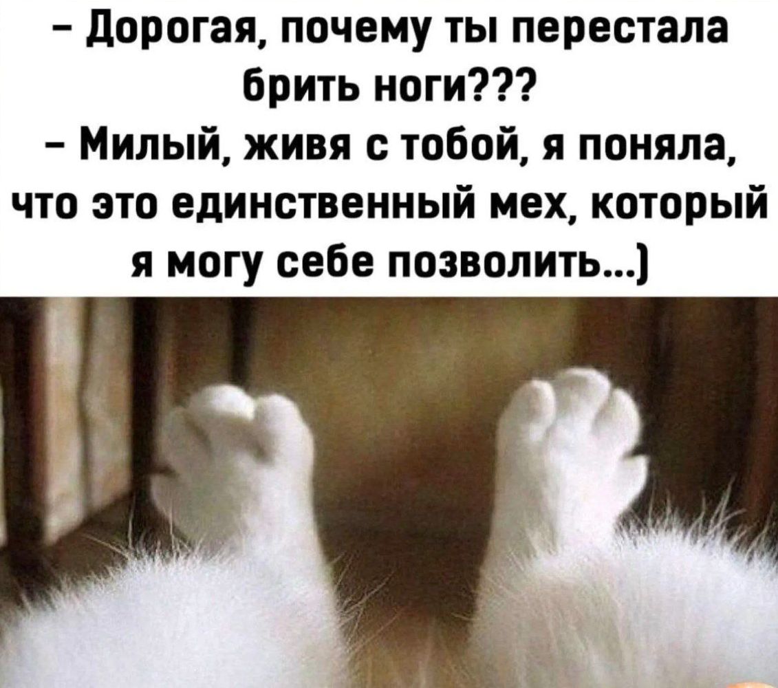 дорогая почему ты перестала Брить ноги Милый живя с тобой я поняла что это единственный мех который я могу себе позволить