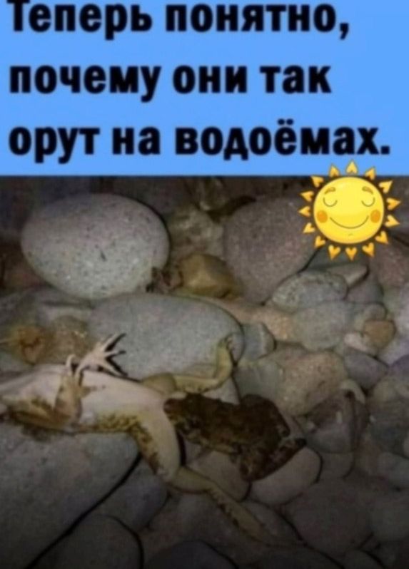 спорь понятно почему они так орут иа водоёмах