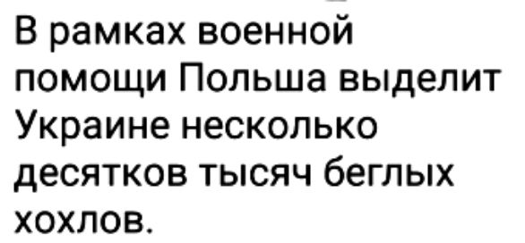 В рамках военной помощи Польша выделит Украине несколько десятков тысяч беглых хохлов