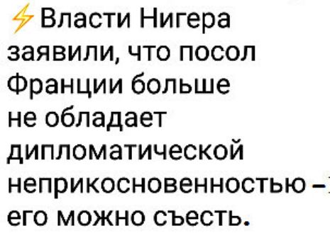 Власти Нигера заявили что посол Франции больше не обладает дипломатической неприкосновенностью его можно съесть