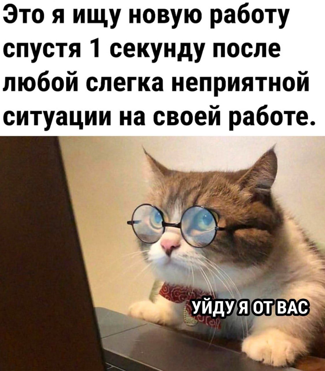 Это я ищу новую работу спустя 1 секунду после любой слегка неприятной ситуации на своей работе