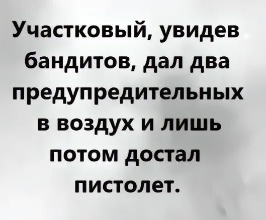 Участковый увидев бандитов дал два предупредительных в воздух и лишь потом достал пистолет