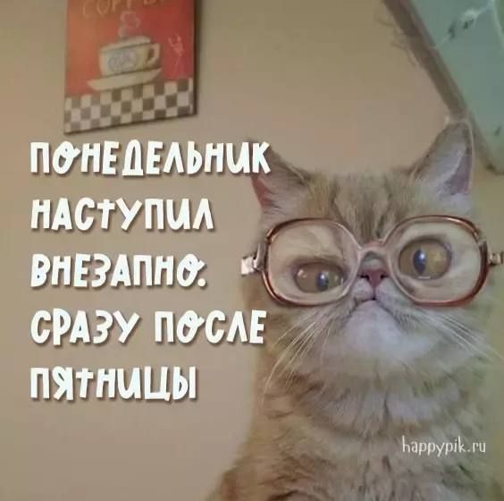 ПОНЕПЕАЫЩК НАСТУПИА РНЕЭАПНО СРАЗУ ПОСМЕ ПЯТНИЦЫ мышц