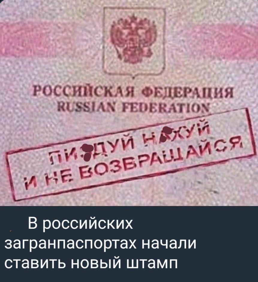 1 ЦЕН3 пашни А1ыинниъ В российских загранпаспортах начали ставить новый штамп