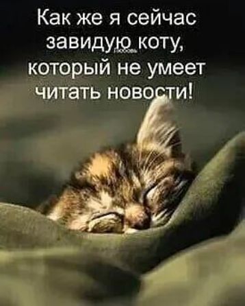 Как же я сейчас завидущкоту который не умеет Читать ново и