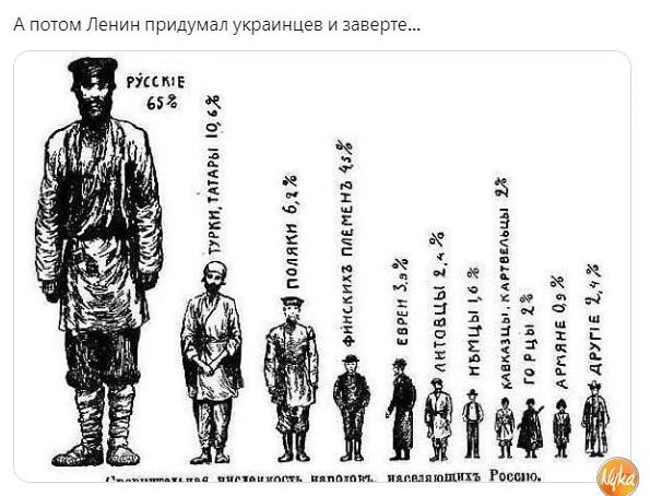 553 к а Ш А цвете
