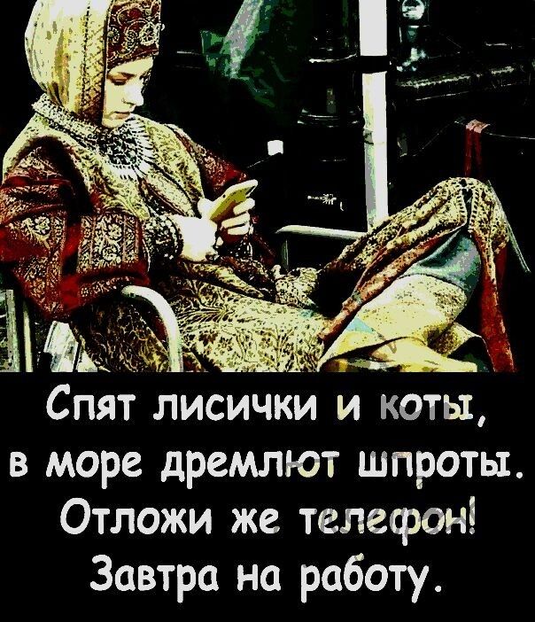 Спят лисички и коты в море дремлют шпроты Отложи же телефон Завтра на работу