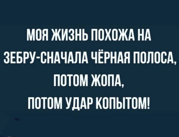 МОН ЖИЗНЬ ПОХПЖА НА ЗЕБРУ ВНАЧАЛА ЧЁРНАЯ ПОЛОСА ППТОМ ЖППА ПОТОМ УДАР КОПЫТОМ