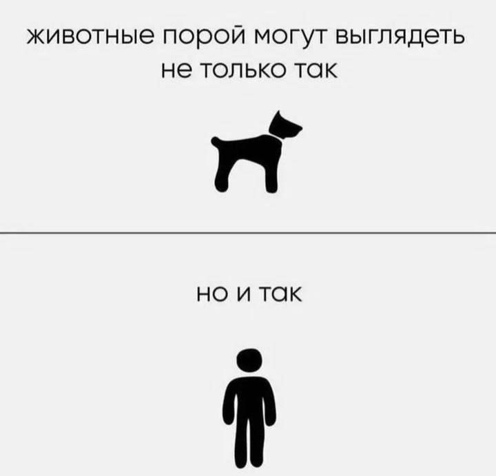 ЖИВОТНЫЭ порой МОГУТ ВЫГПЯДЭТЬ не ТОЛЬКО ТОК 71 Но И ТОК