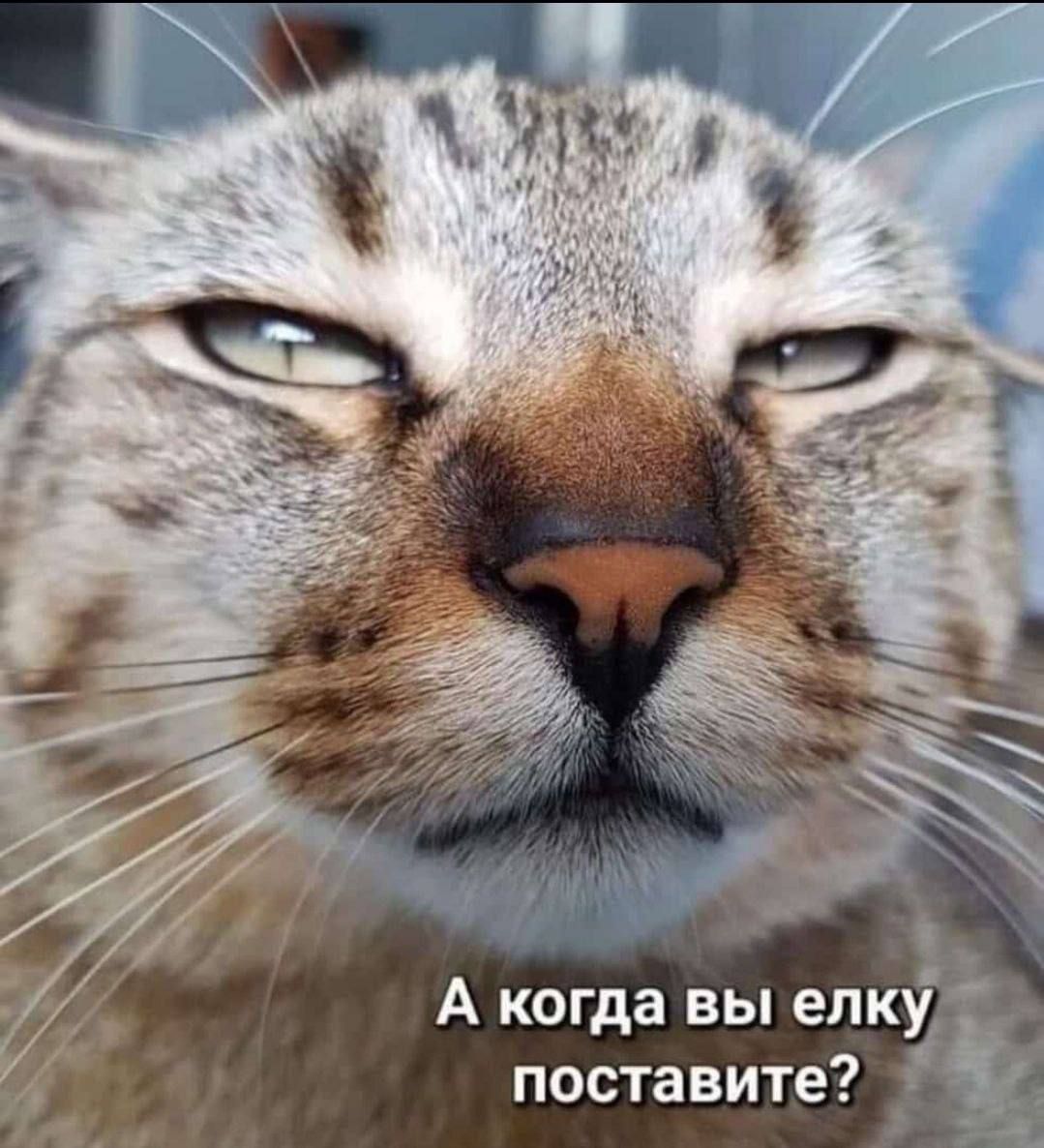 А когда вы елкх39 поставите и