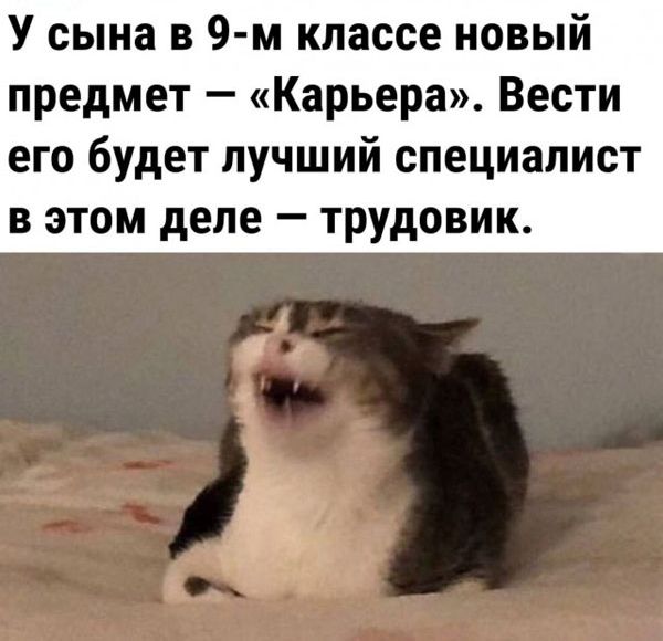 У сына в 9 м классе новый предмет Карьера Вести его будет лучший специалист в этом деле трудових