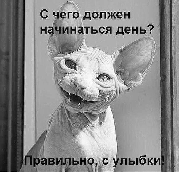 С чёго должен нааинаться день 4 Р 33 7 этава ітыбки