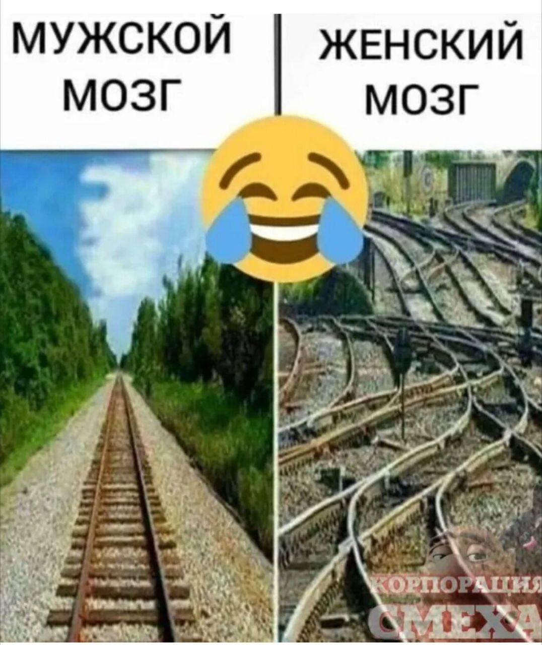 мужской жЕнский