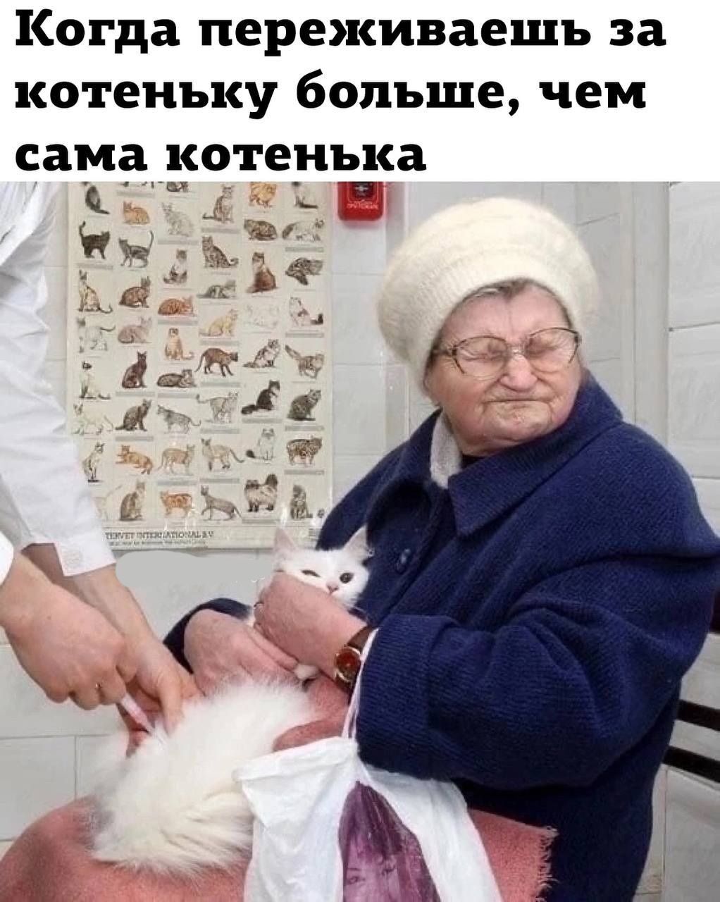 Когда переживаешь за котенъку больше чем сама КОТЕНЪКЗ