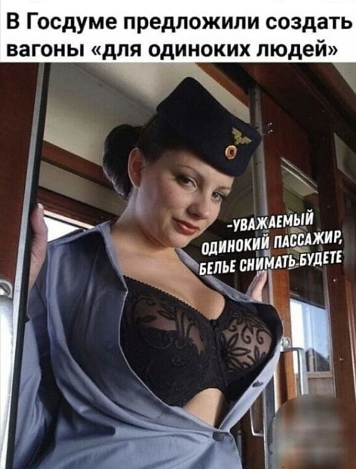 В Госдуме предложили создать вагоны для одиноких людей 6 уш_пм_ый жир одинокий мдм чвсльс винить вудш
