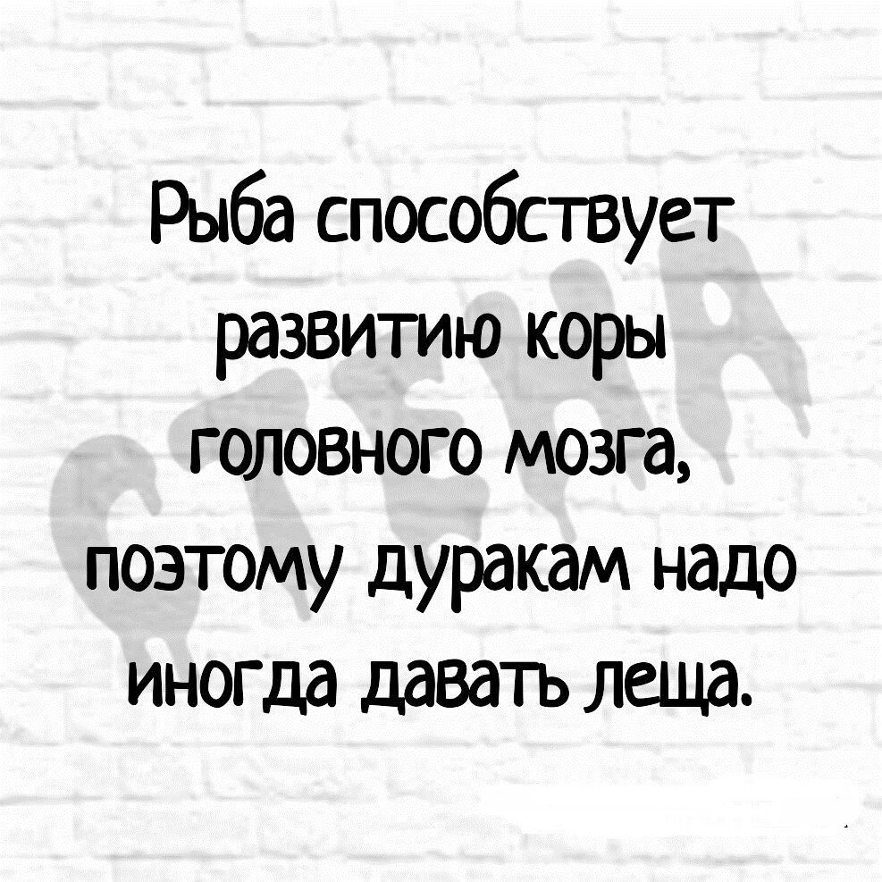Рыба способствует развитию коры головного мозга поэтому дуракам надо иногда давать леща
