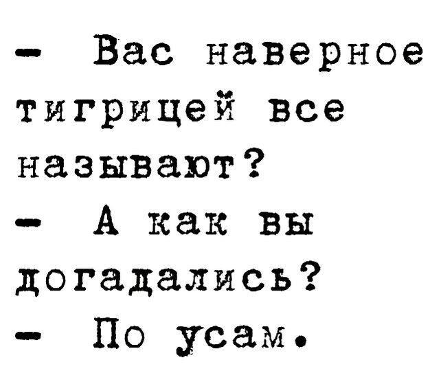 Вас наверное тигрицей все называют А как вы догадались По усам