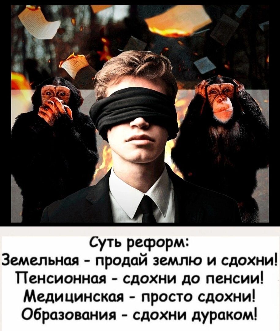 Суть реформ Земельная продай землю и сдохни Пенсионная сдохни до пенсии Медицинская просто сдохни Образования здохни дураком