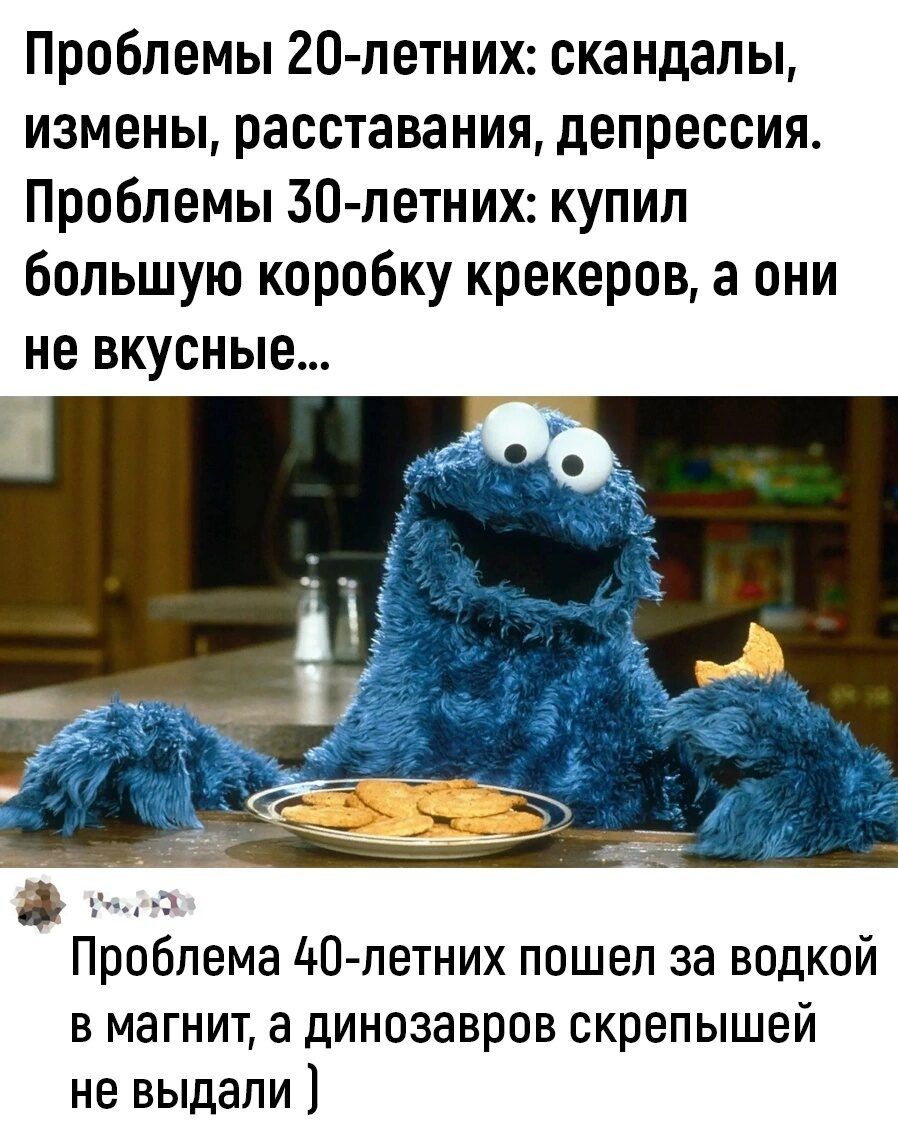 Проблемы 20 летних скандалы измены расставания депрессия Проблемы 30 летних купил большую коробку крекеров а они не вкусные Проблема 40 летних пошел за водкой в магнит а динозавров скрепышей не выдали