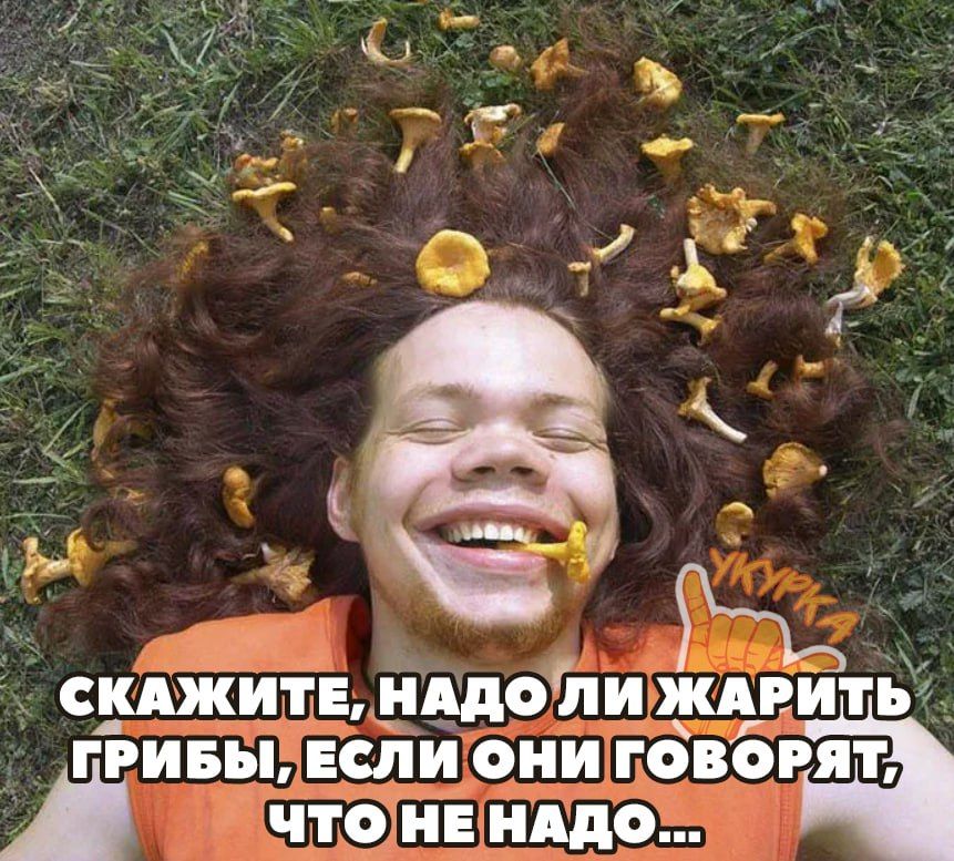 Т _ д г 1 СКАЖИТЕ _НАдОЙИ ШЕИТ ГРИБЫ ЕСЛИ ОНИ ГОВОРіЯТі ЧТОЁНЕ ЩО