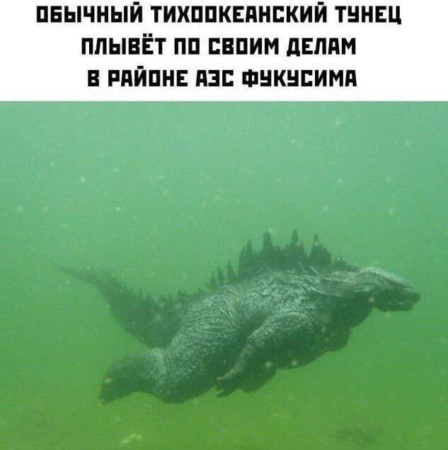 ПЕЫЧНЫЙ ТИХППКЕПНЕКИЙ ТННЕЦ ПЛЫЕЁТ ПП ЕБПИН дЕЛПМ
