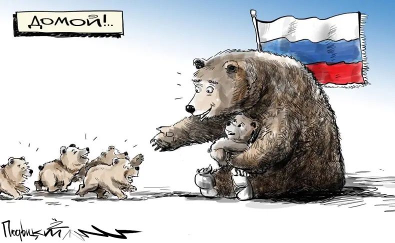 домойд