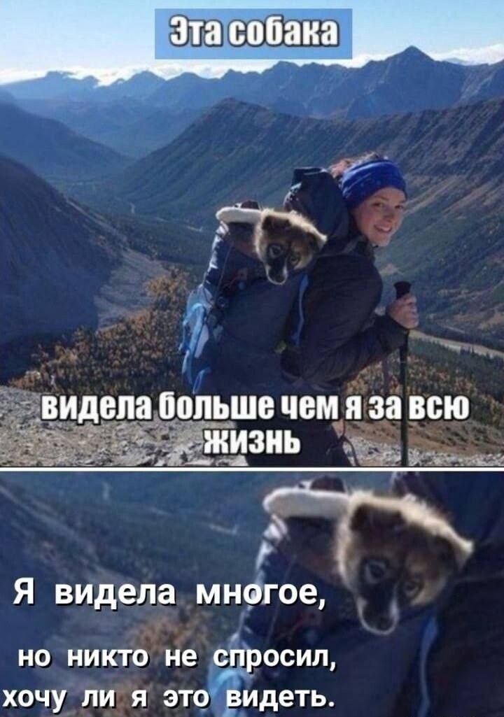 Я видела мнфгое 1 но никто не с осин хочу пия это _идеть