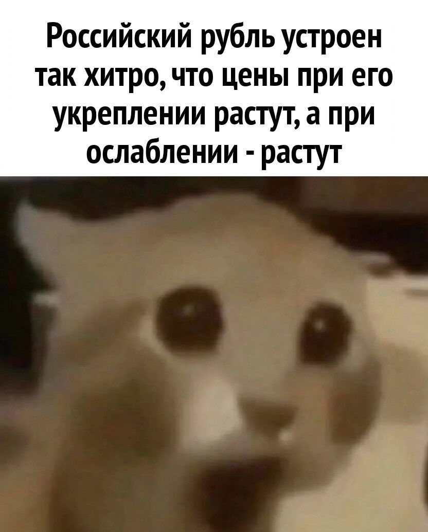 Российский рубль устроен так хитро что цены при его укреплении растут а при ослаблении растут