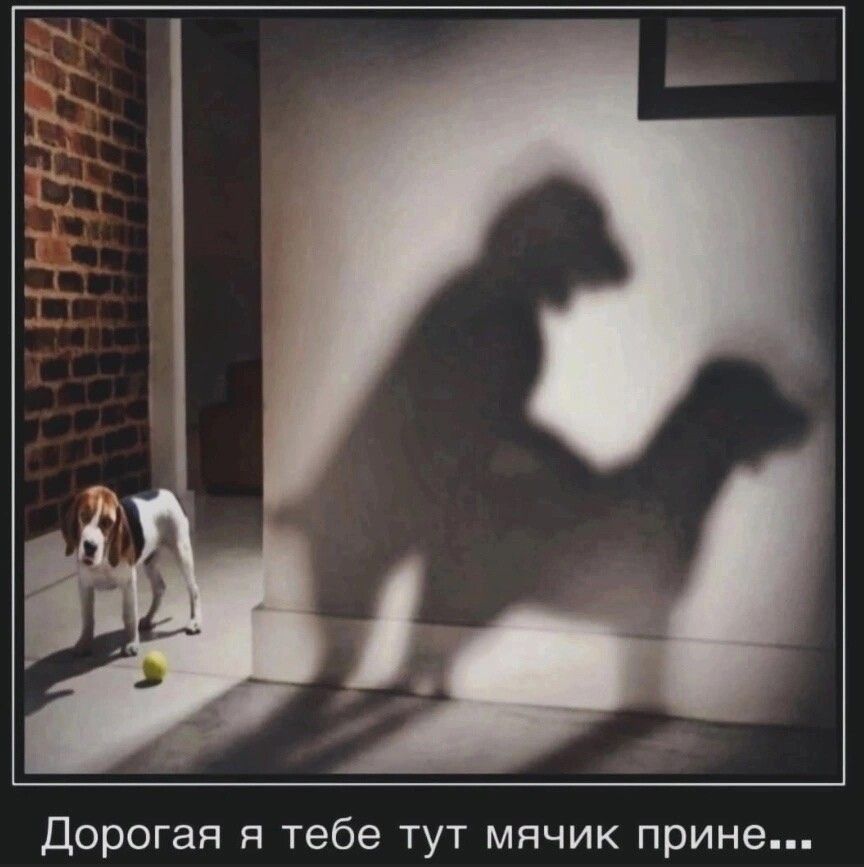 Дорогая я тебе тут мячик прине