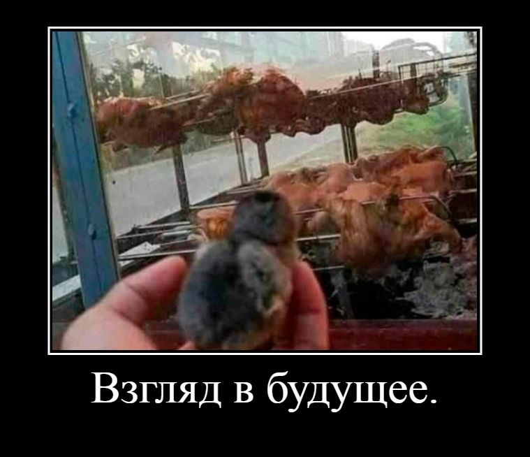Взгляд в будущее