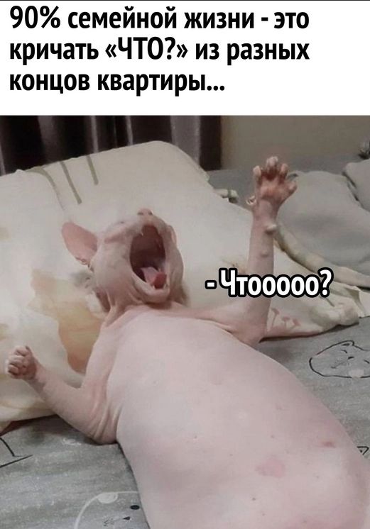 90 семейной жизни это кричать ЧТО из разных концов квартиры