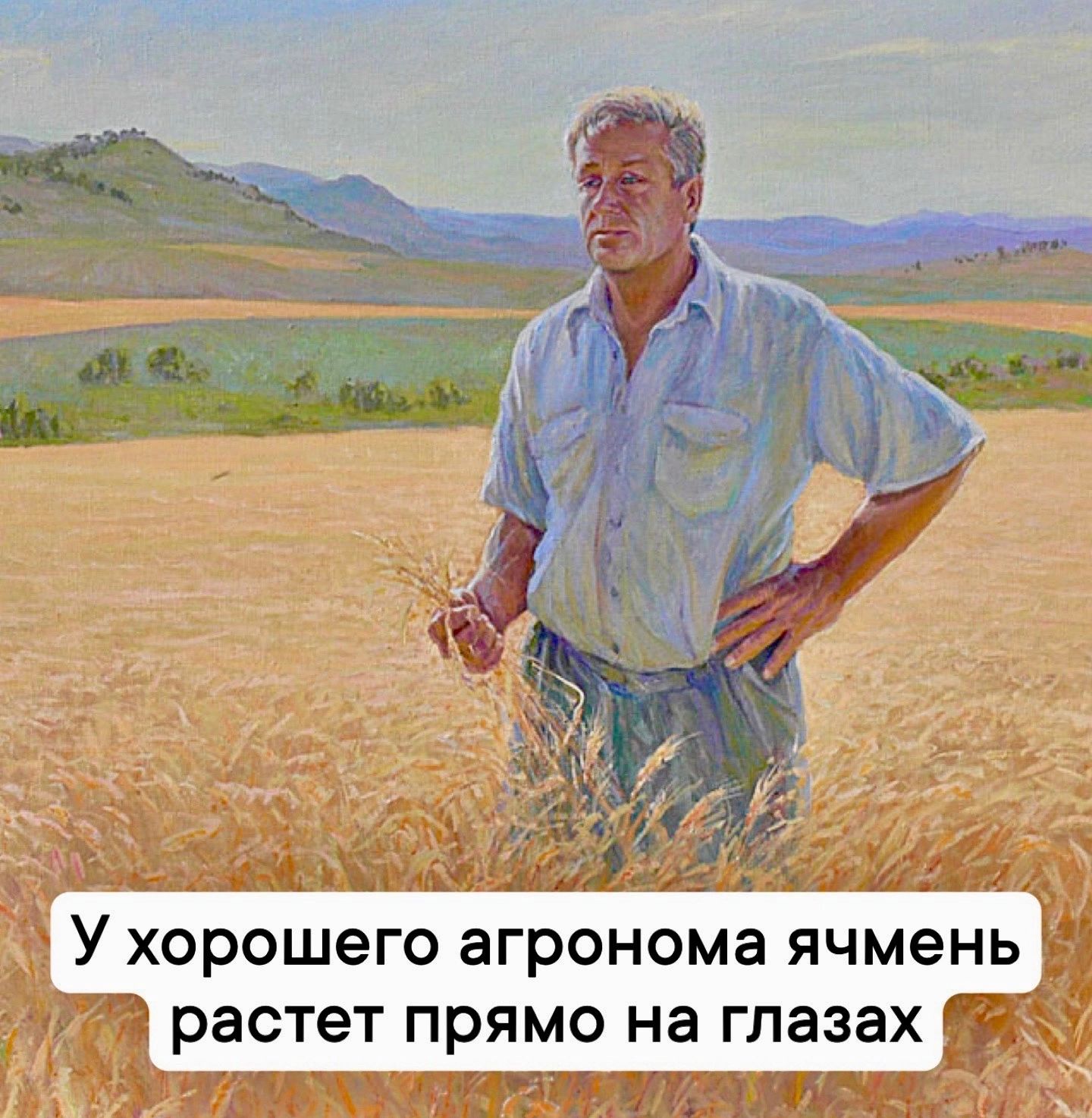 У хорошего агронома ячмень растет ПРЯМО на глазах