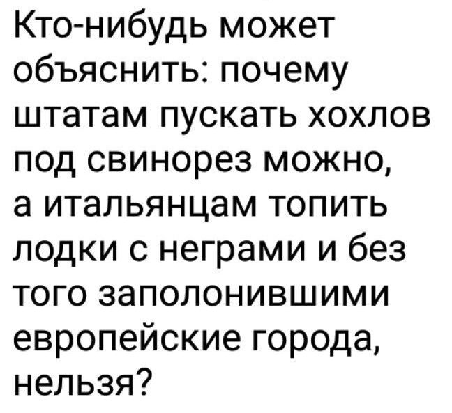 Кто нибудь может объяснить почему штатам пускать хохлов под свинорез можно а итальянцам топить лодки с неграми и без того заполонившими европейские города нельзя