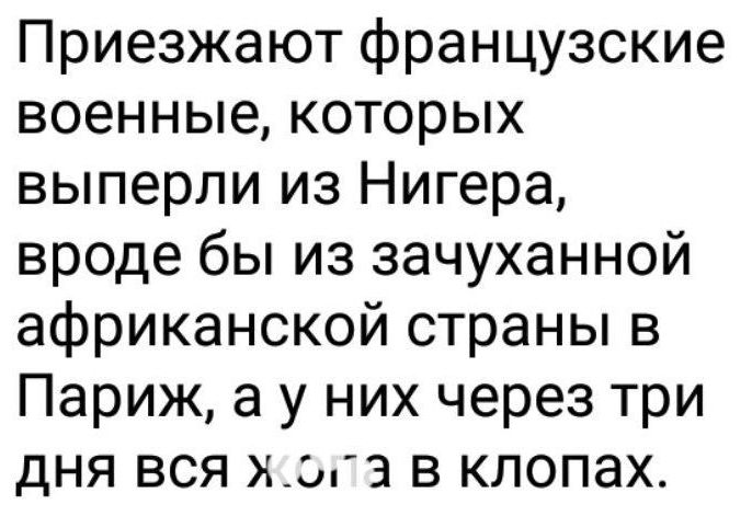 Приезжают французские военные которых выперли из Нигера вроде бы из зачуханной африканской страны в Париж а у них через три дня вся хга в клопах