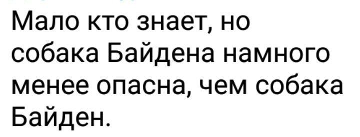 Мало кто знает но собака Байдена намного менее опасна чем собака Байден