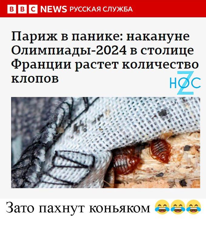 Париж в панике накануне Олимпиады 2024 в столице Франции растет количество клопов НЁС Зато пахнут коньяком везде