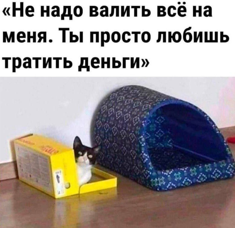 Не надо валить всё на меня Ты просто любишь тратить деньги