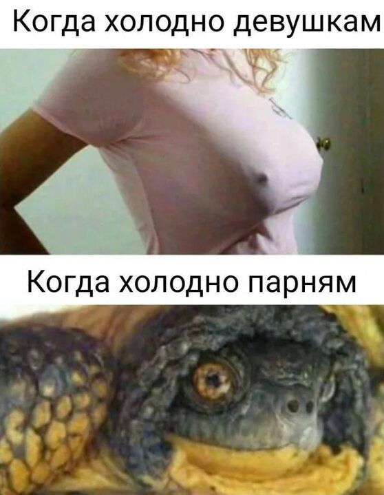 Когда холодно девушкам 3 Когда холодно парням