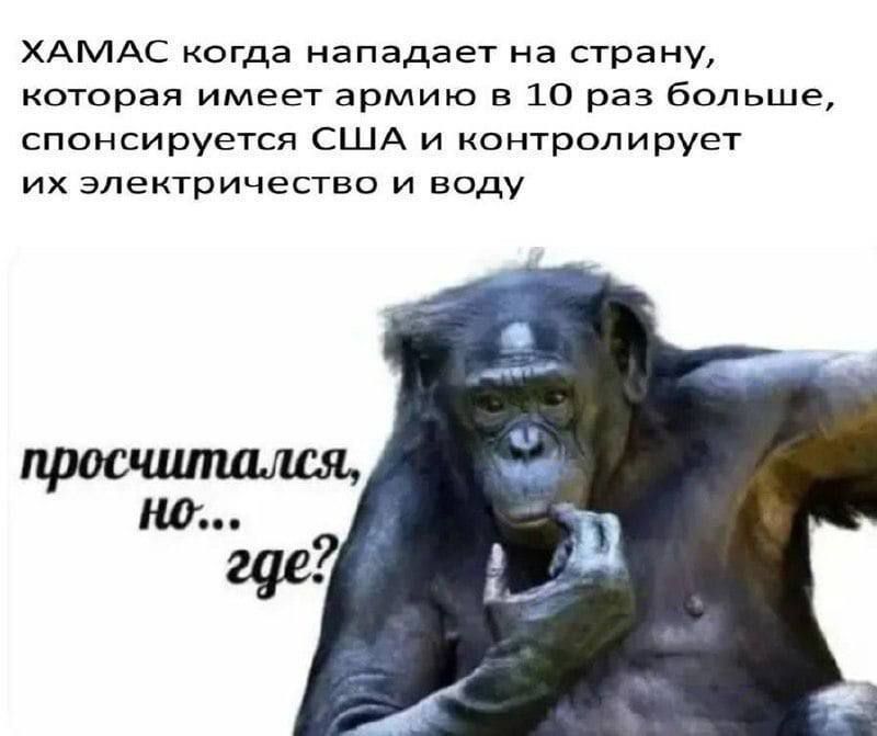 ХАМАС когда нападает на страну которая имеет армию в 10 раз больше спонсируется США и контролирует их электричество и воду