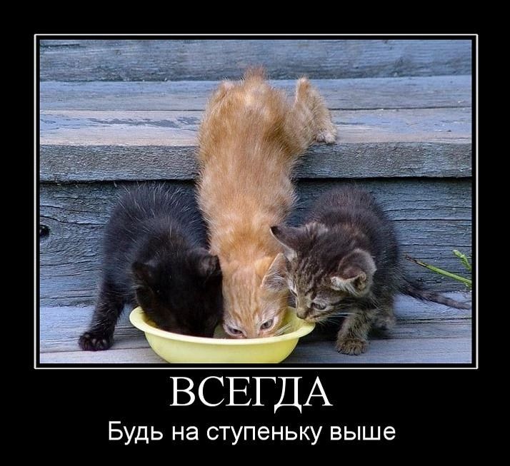 ВСЕГДА Будь на ступеньку выше