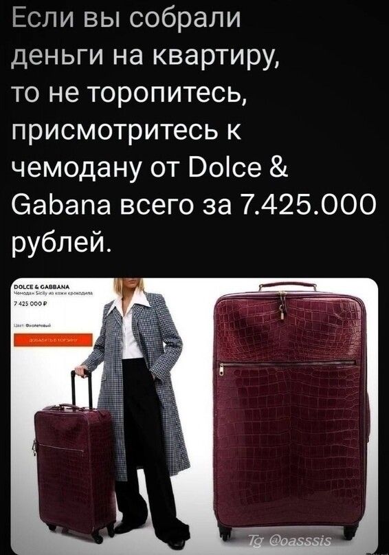 Если вы собрали деньги на квартиру то не торопитесь присмотритесь к чемодану от Воісе Эаоапа всего за 7425000 рублей