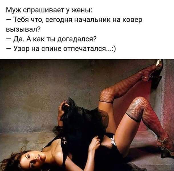 Муж спрашивает у жены Тебя что сегодня начальник на ковер вызывал Да А как ты догадался Узор на спине отпечашпся _