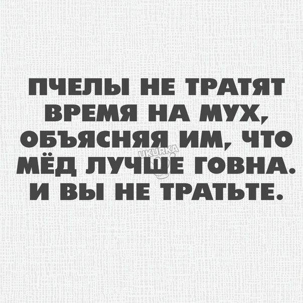 пчелы н РАЯ время нд мух овъясняя им что МЁд лучш гоВНА и вы не тгАтьтЕ