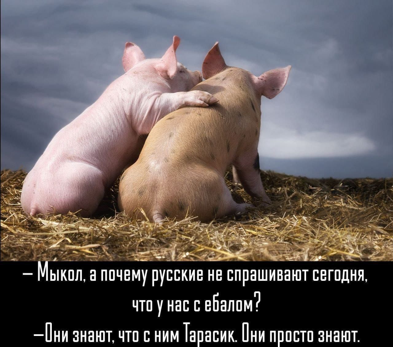 ыкпп а ппчвму русские не спрашивают сагпдия чтп у на с вБалпм Пии знают чтп иии Таавик Пни ппвтп аиашт